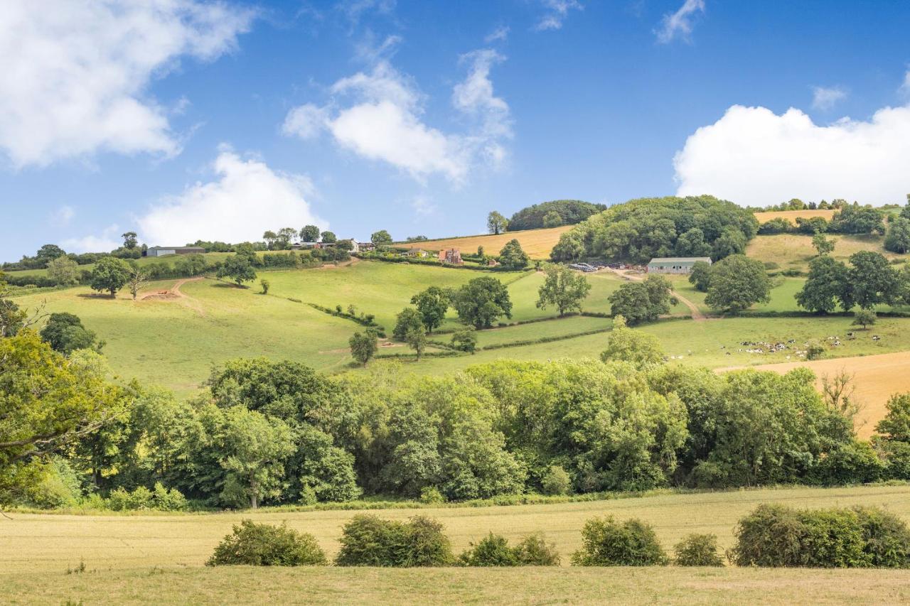 Wood Cottage Tenbury Wells Esterno foto