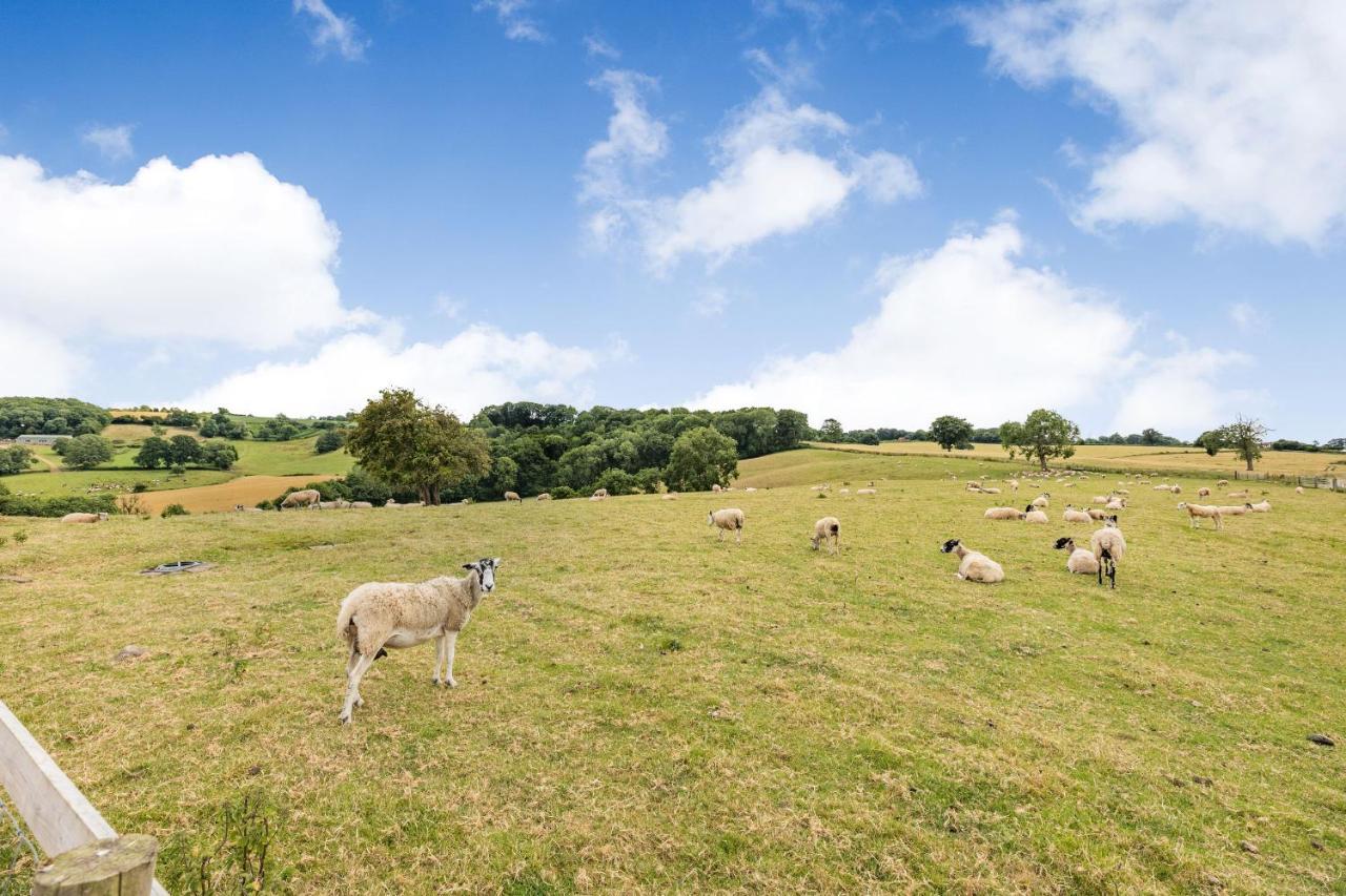 Wood Cottage Tenbury Wells Esterno foto